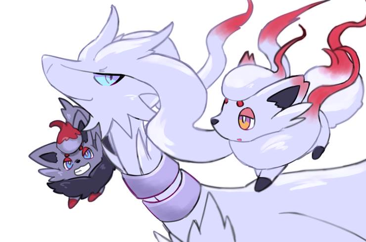 精灵宝可梦, zekrom, reshiram, Goodra, zorua, Zekrom/Reshiram