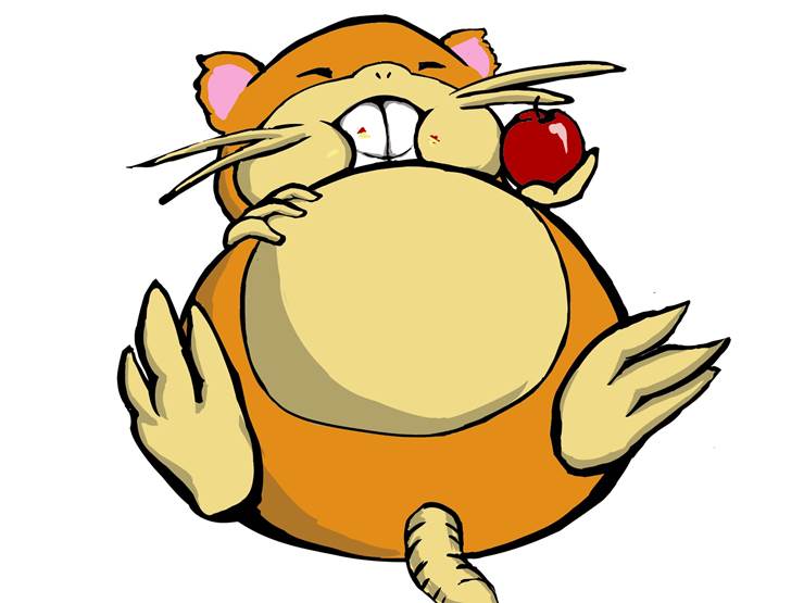 关都#20鼠宝可梦，拉达(ラッタ)插画图片