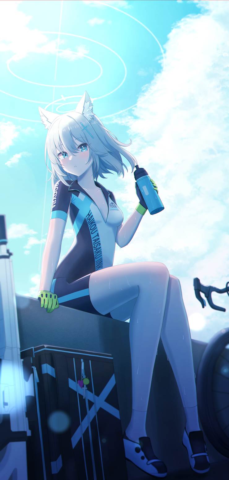 Blue Archive, Sunaookami Shiroko, cycling jersey, bike shorts