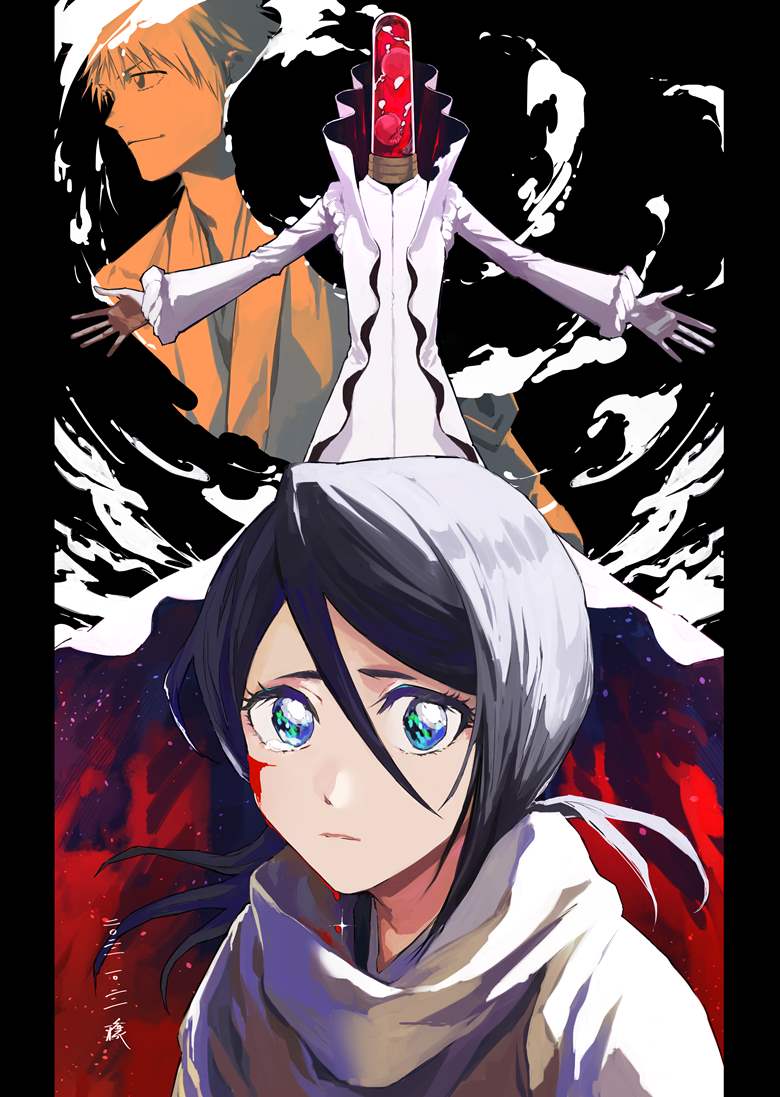朽木露琪亚, rukia, Kaien Shiba, 死神500收藏