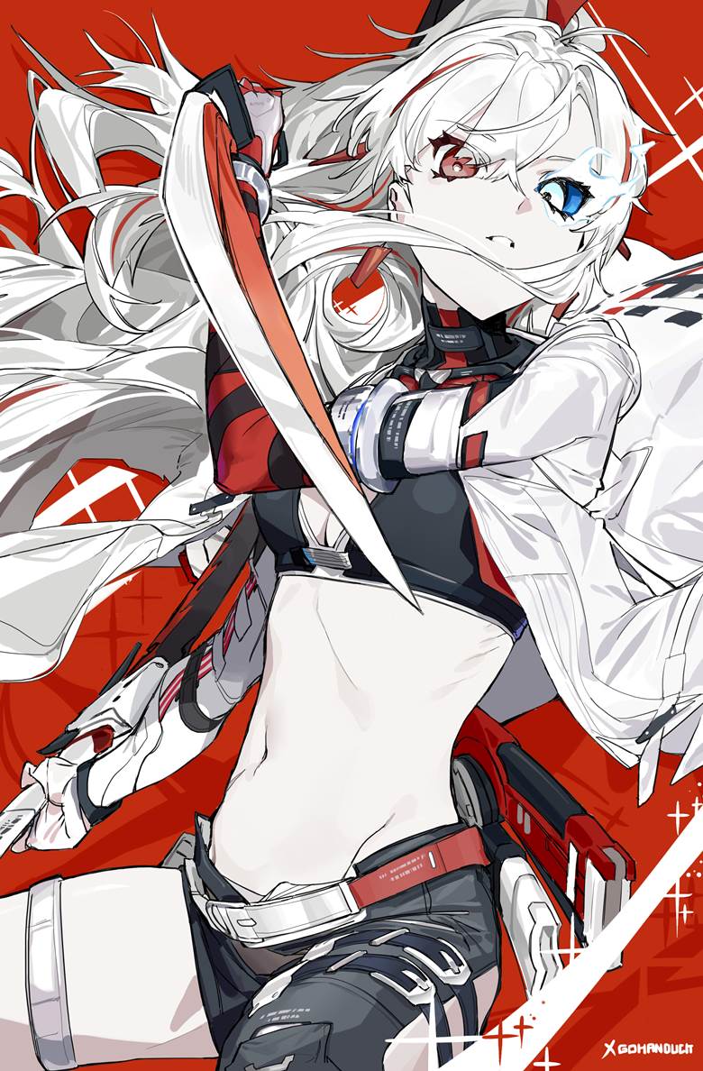 Punishing: Gray Raven