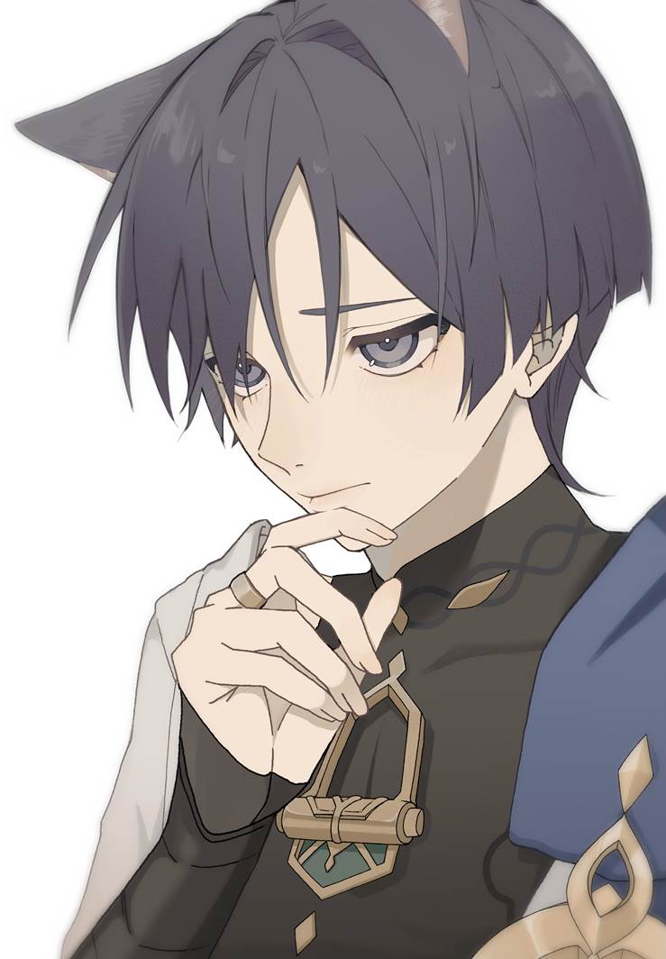 Genshin Impact, wanderer, 散兵, 兽耳, cat ears, 插画