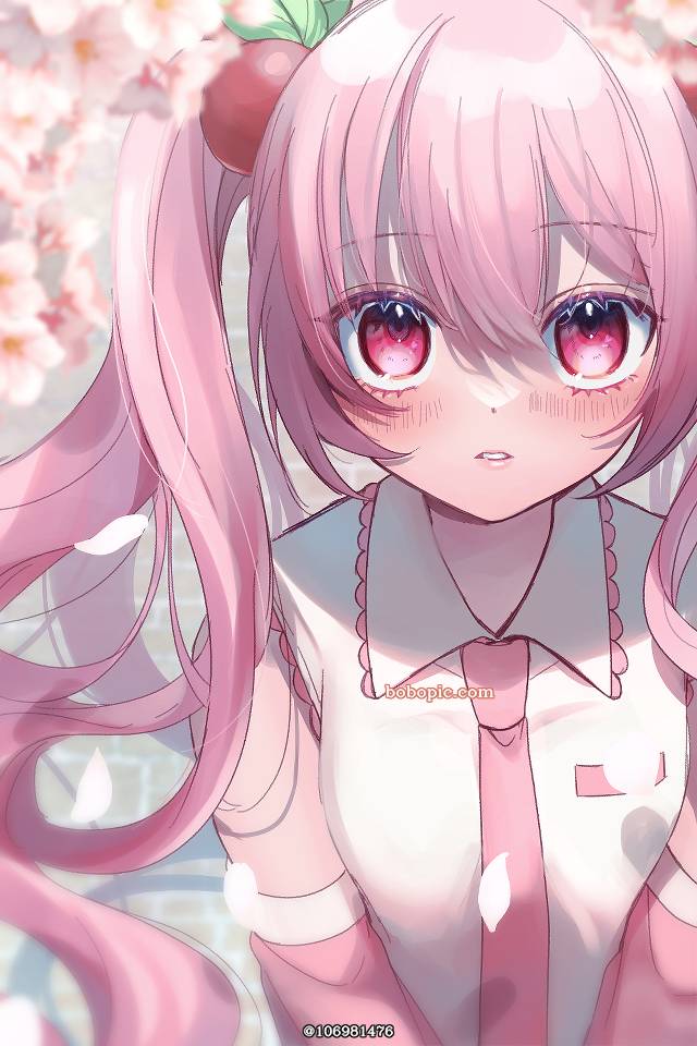 一张vocaloid,初音未来,樱未来绘画图片