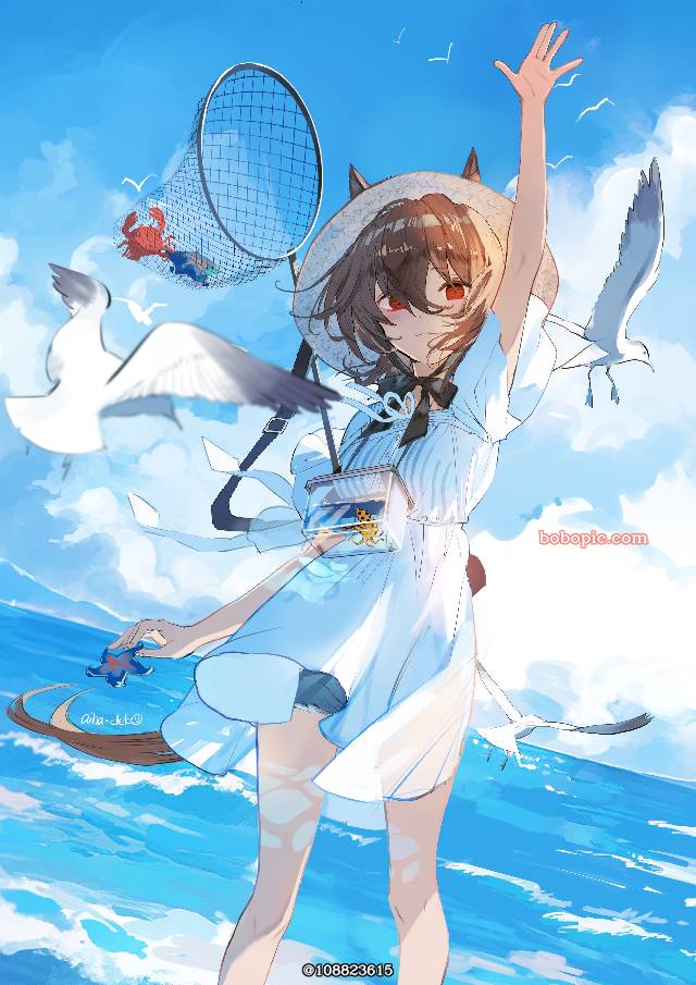 夏之回忆,夏天,海,爱丽速子,草帽图片
