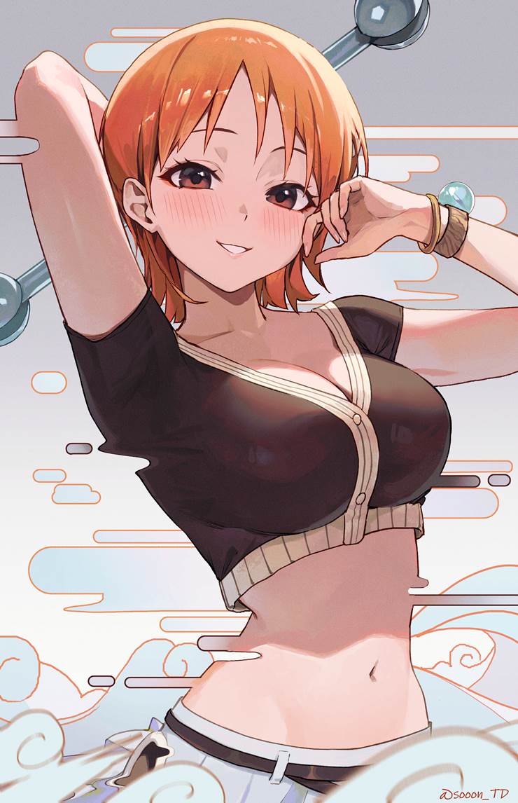 娜美, ONE PIECE, 腋下, 肚脐, 海贼王5000收藏, 肚脐