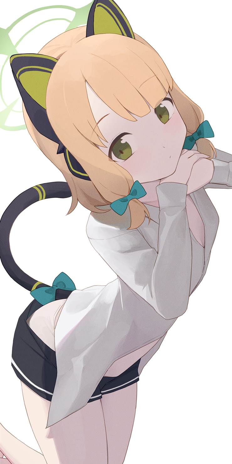 Saiba Midori, 碧蓝档案