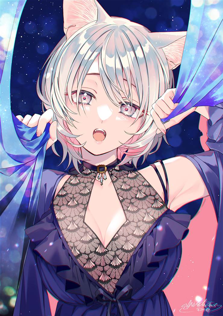 一张窗帘,猫耳绘画图片