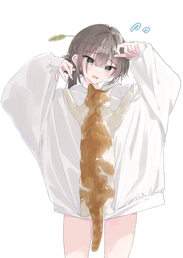 女孩子, 猫, cat, 辫子, 连帽衫, cute cat