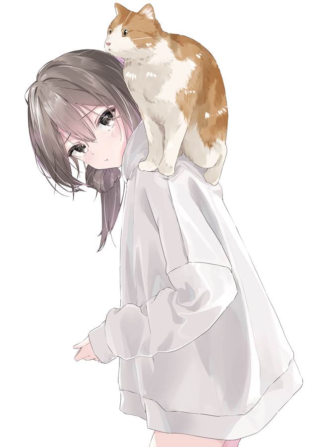 连帽衫, young girl, cat, cute cat