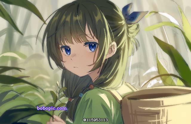 太美了,小女孩,少女,猫猫,药屋少女的呢喃图片