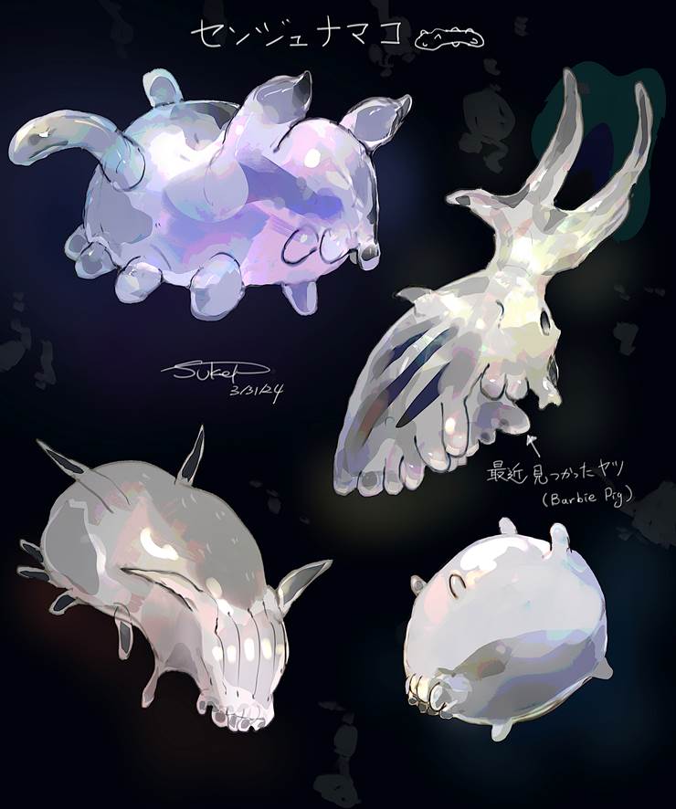 好きな深海の生き物①センジュナマコ|pixiv画师SukeP（すけぴー）的深海生物插画图片