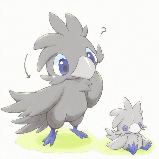 furry bird, incredibly cute