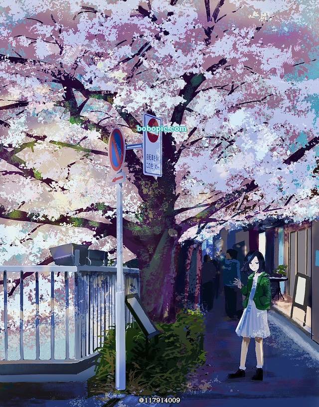 一张春,小女孩,樱花,小樱,风景绘画图片