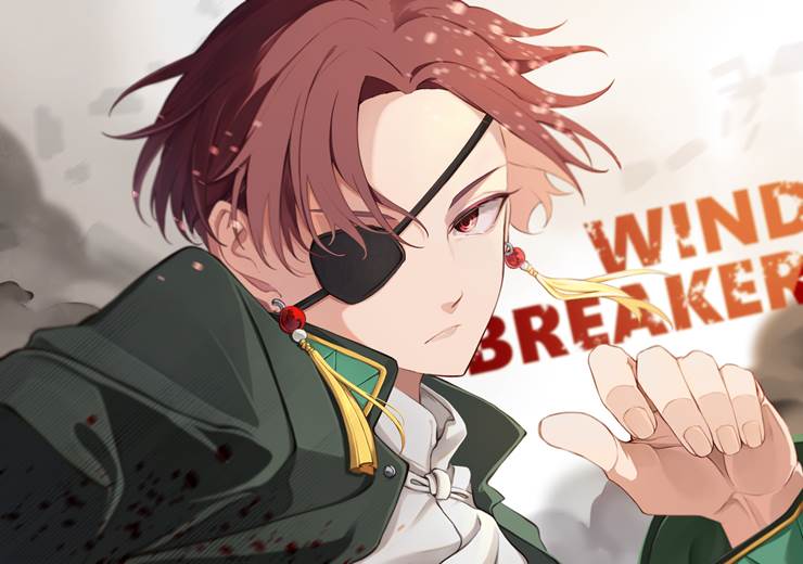 《WIND BREAKER》苏枋隼飞P站高清同人美图