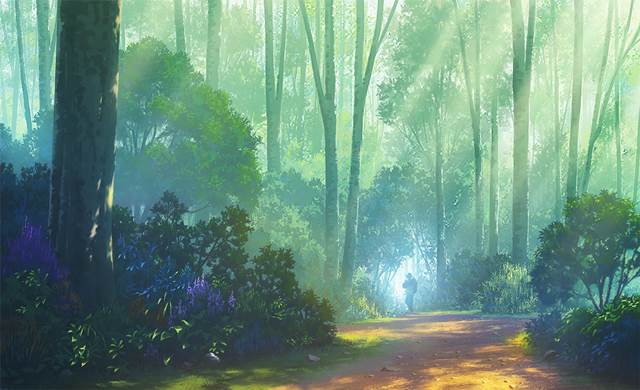 风景, background, 原创, nature, forest