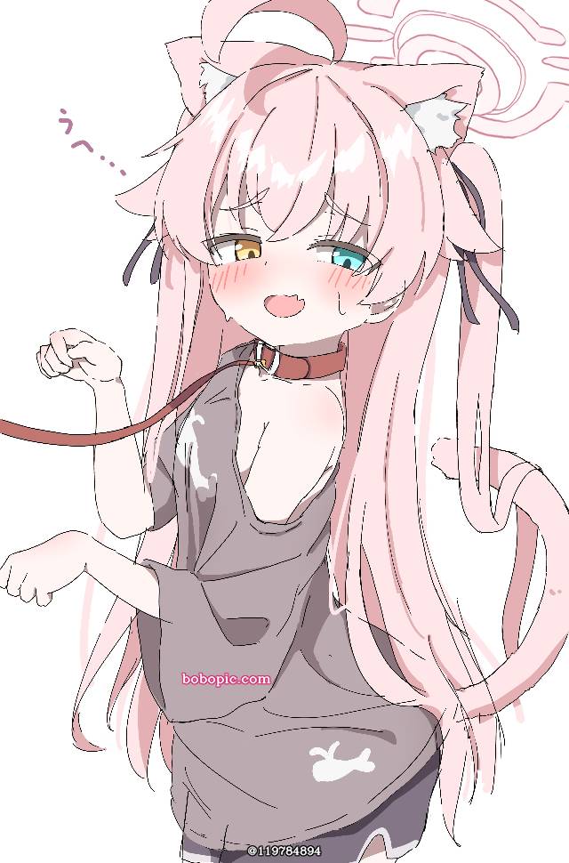 BlueArchive,兽耳,小女孩,小鸟游星野,蔚蓝档案图片