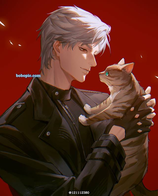 信,恋与深空,猫,男孩,秦彻图片