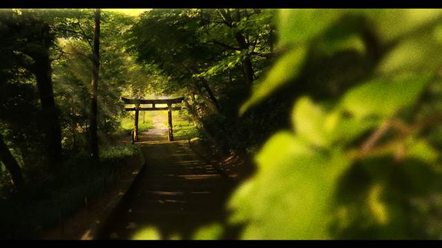 background, space, 风景, 原创, forest