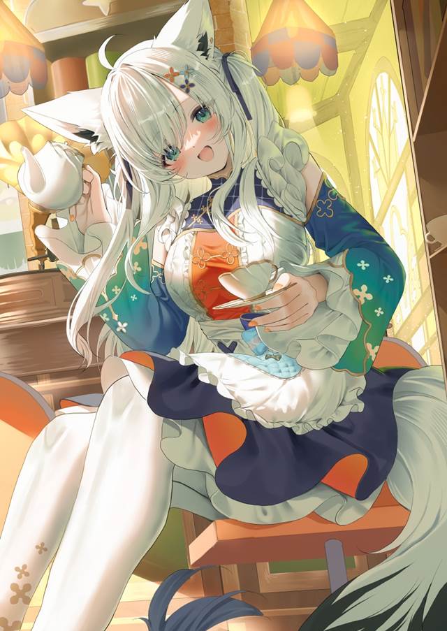 白上吹雪, 白上吹雪同人, Hololive, Virtual Youtuber 100+ bookmarks