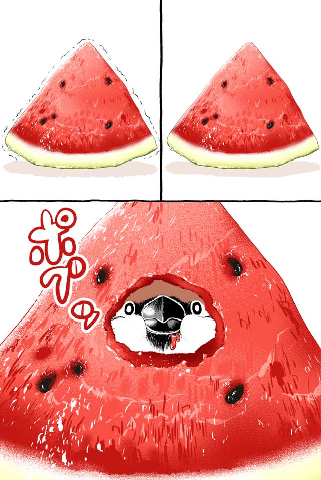 漫画,麻雀图片