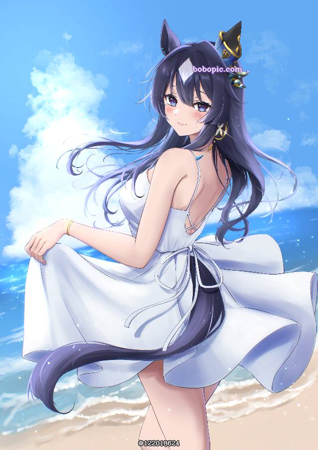 夏之回忆,夏天,屈膝礼,极峰,海滩图片