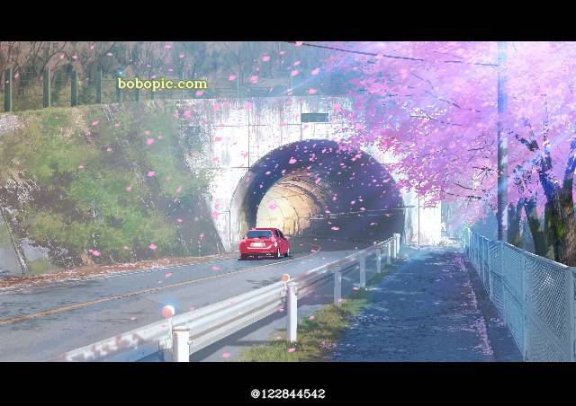 一张隧道,风景,小樱,樱花,自然,田舍绘画图片