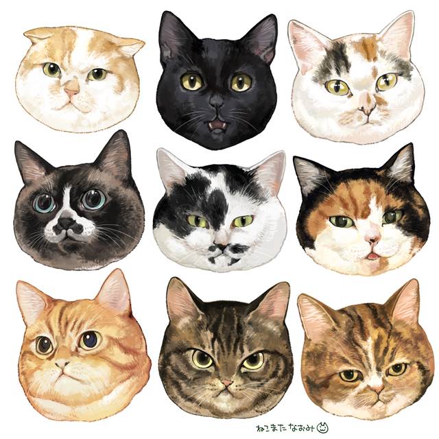 cat