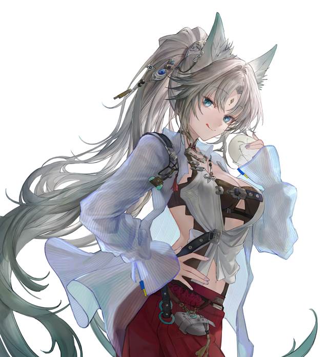 崩坏：星穹铁道, Feixiao, 崩坏：星穹铁道100收藏