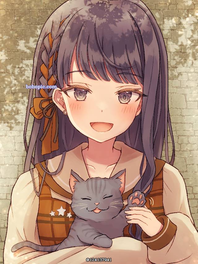 cat,世界计划,星乃一歌,猫图片