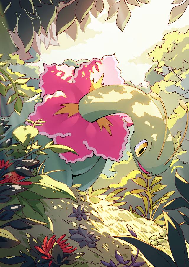 pokemon,大竺葵图片