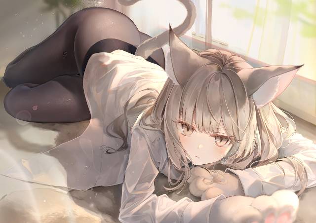 原创, cat ears, 女孩子, 裤袜