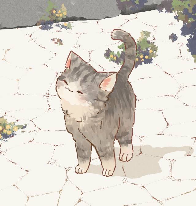 原创, cat, 猫