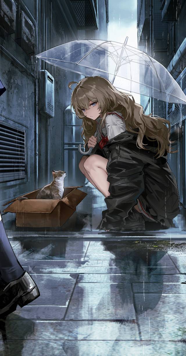 rain, 女高中生, cat, cat and girl