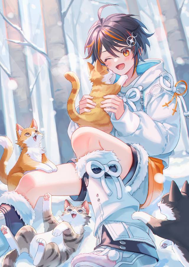 商业绘图, cat, 男孩子, snow, 猫与男孩