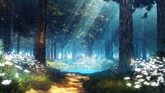 风景, background, forest, pond