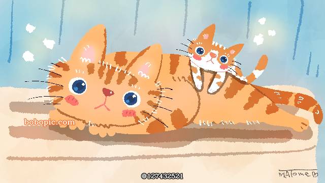 cat,sketch,猫,绘图片