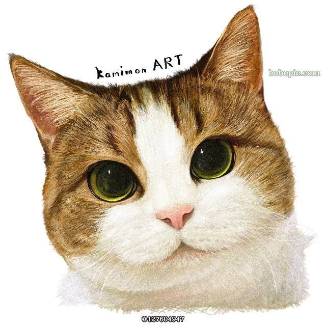 cat,猫,细密画,草图图片