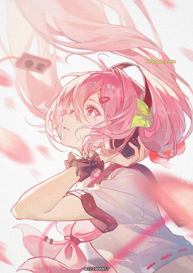 樱未来,插画,初音未来图片