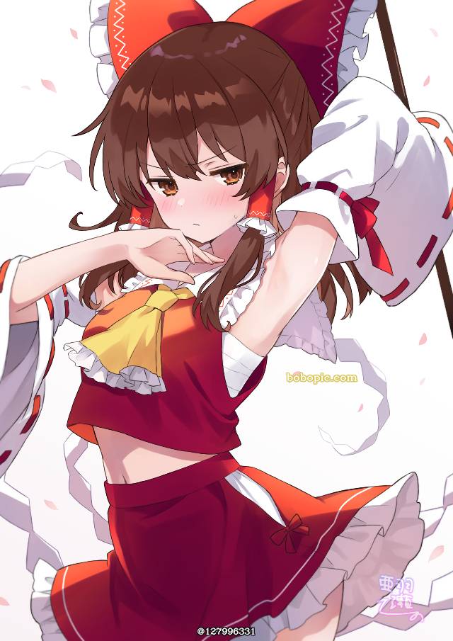 博丽灵梦, 东方Project, Reimu Hakurei's armpits