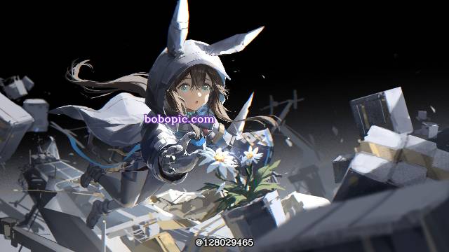 无重力,明日方舟,花和女孩,阿米娅图片