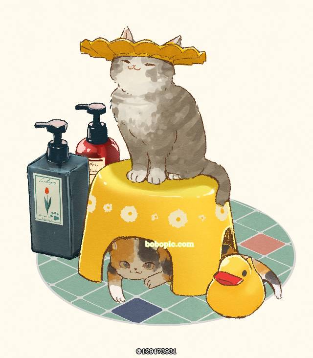 原创, cat, 猫, 可爱