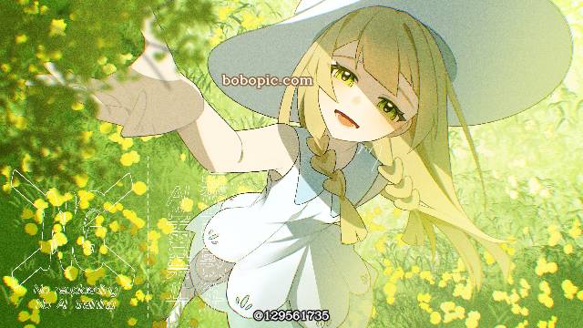 口袋妖怪,夏装,白色连衣裙,莉莉艾,训练员图片