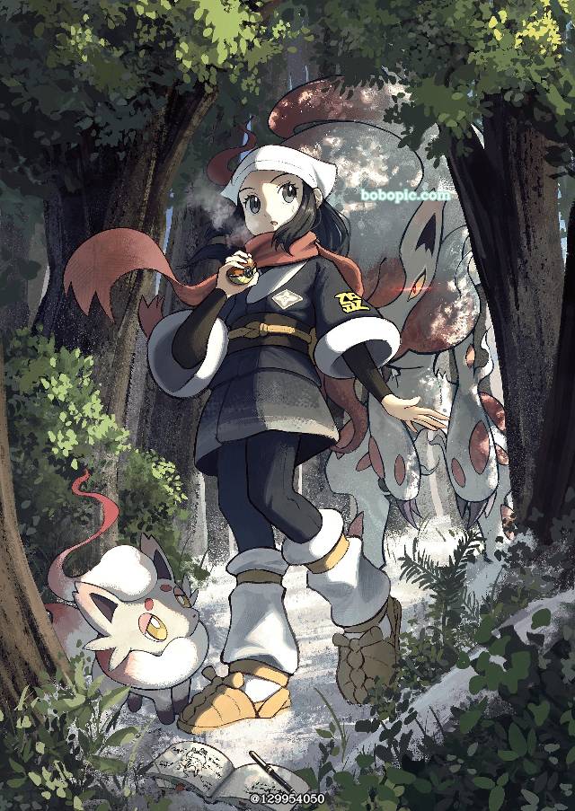 精灵宝可梦, 宝可梦传说：阿尔宙斯, Shō (Pokemon), Hisuian Zoroark, Hisuian Zorua