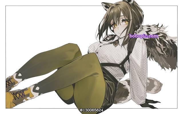 一张兽耳,彩色丝袜,明日方舟,萝宾,罗宾绘画图片