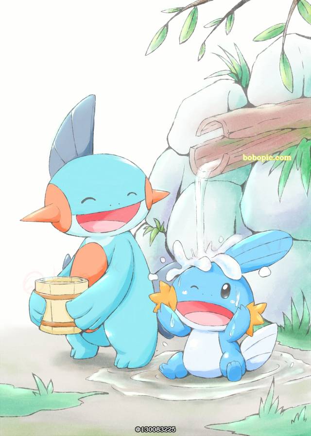 精灵宝可梦, mudkip, Marshtomp, incredibly cute