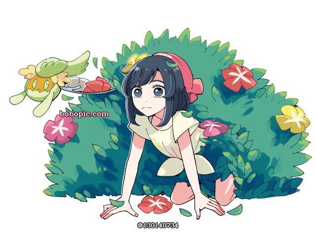 宝可梦太阳月亮, Elio/Lillie