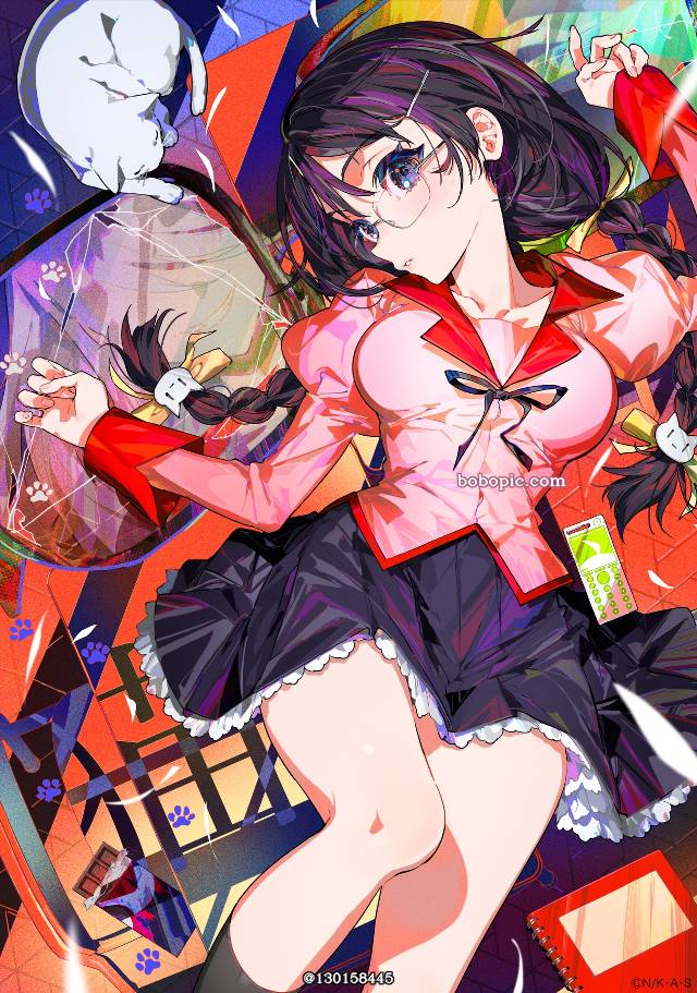 hanekawa tsubasa, 物语, 物语系列