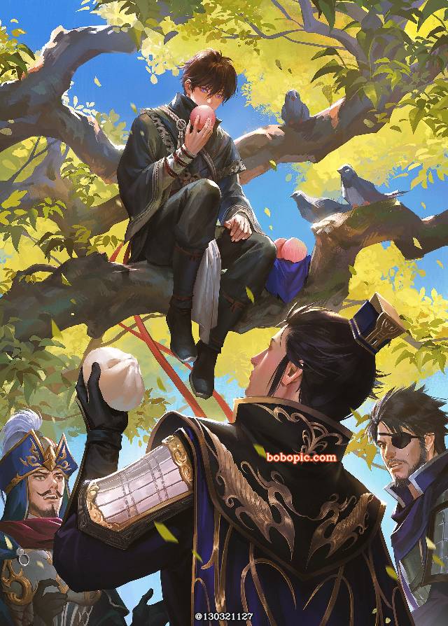 cao cao, 三国无双