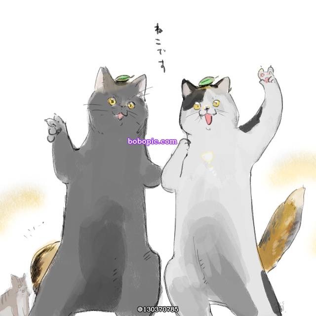原创, 猫, 狐