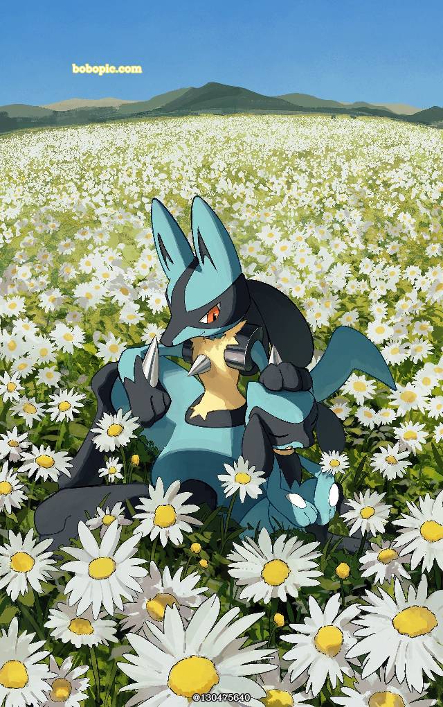 精灵宝可梦, 路卡利欧, riolu